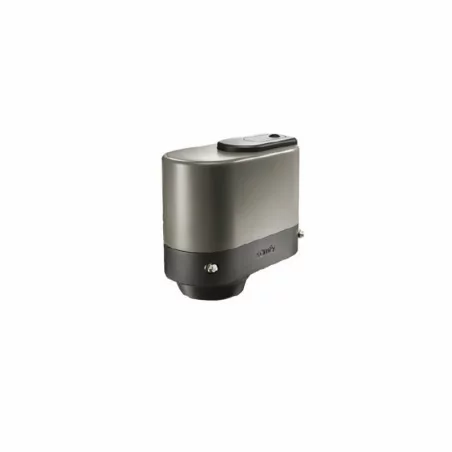 Moteur Axovia Multipro 3S Somfy 1216498