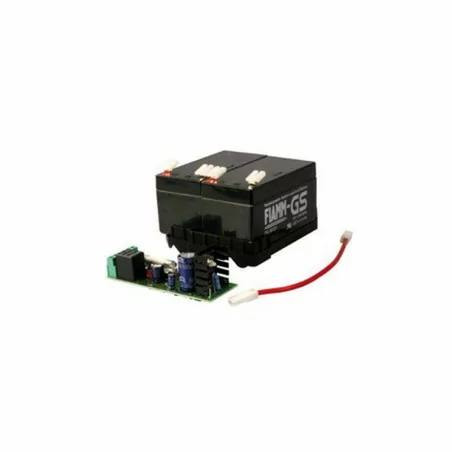 Batterie de Secours Elixo 3S Somfy 9016732