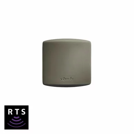 Récepteur extérieur RTS portail et garage Somfy 1841022