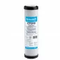 Filtre Charbon actif Ecosoft BWT 10 micron Filtre Charbon actif Ecosoft BWT 10 micron