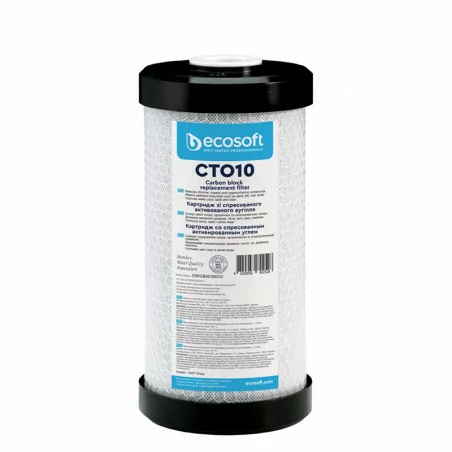 Cartouche Charbon Actif BWT Big Blue