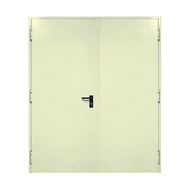 Double porte métallique isolée