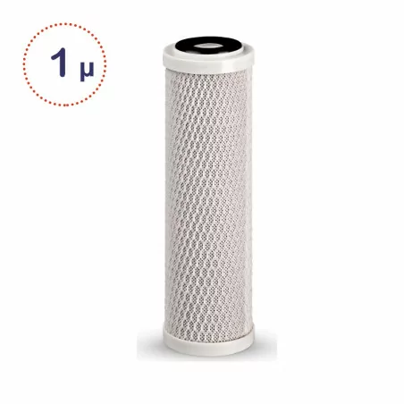 Filtre charbon actif 1 micron
