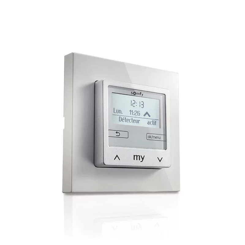 Centrale Soliris Smoove IB + Somfy 1818316