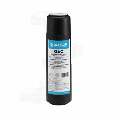 Filtre Ecosoft GAC 10 Pouces