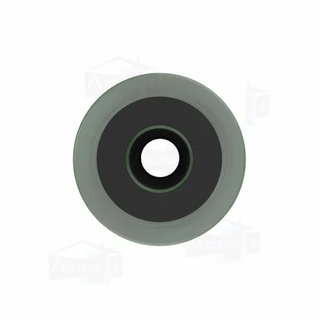 Filtre à Eau Pentair Floplus pour Purificateur