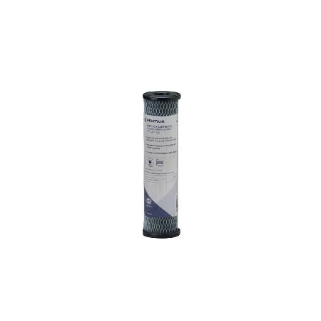 Pentair C1 Filtre à Eau Sédiment et Charbon