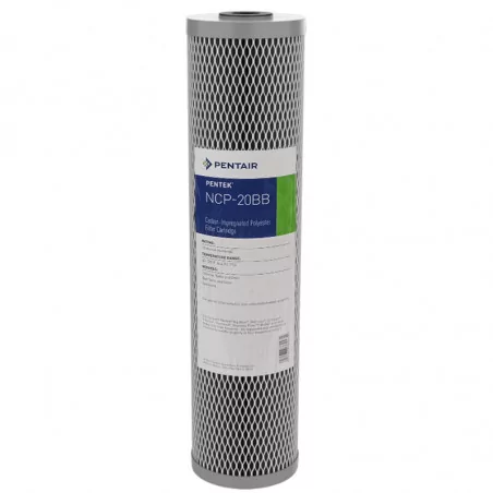 Filtre à Eau Pentair NCP-20BB