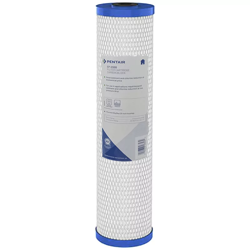 Filtre Pentair EP-20BB Filtre Pentair EP-20BB