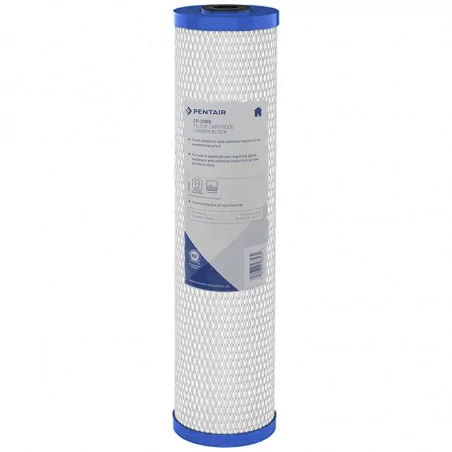 Filtre Charbon Actif EP-20BB Pentair