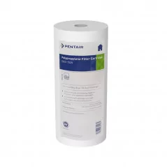Filtre Pentair DGD-7525 Anti Sédiment