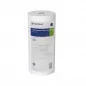 Filtre Pentair DGD-7525 Anti Sédiment Filtre Pentair DGD-7525 Anti Sédiment