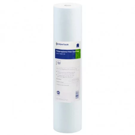 Filtre 20 Pouces Pentair DGD 5005
