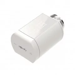 Thermostatique radiateur Somfy 1870508