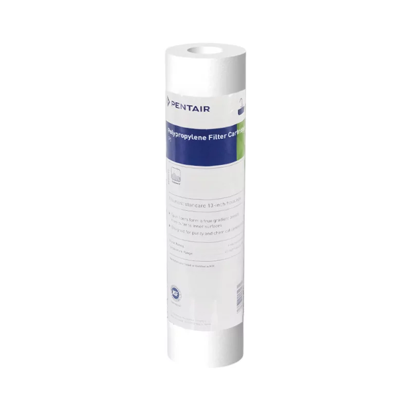 Filtre à Eau Pentair P1 Anti Sédiment Filtre à Eau Pentair P1 Anti Sédiment