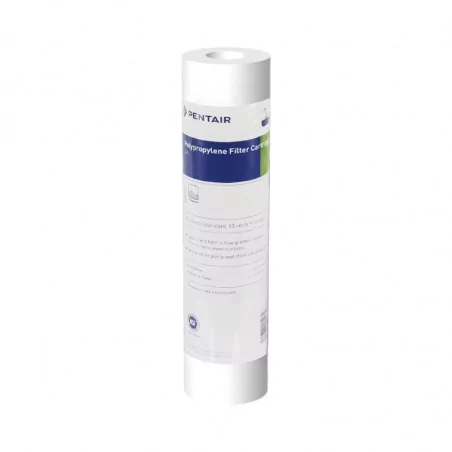 Filtre à Eau Pentair P1 Anti Sédiment