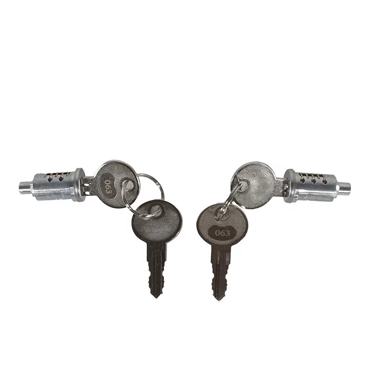 Cylindre de déverrouillage Ixengo L Somfy 1782818