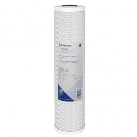 Filtre à Eau Pentair CBC 20 BB
