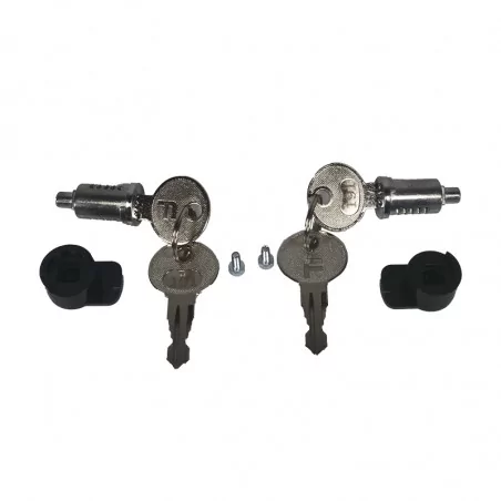 Cylindre de déverrouillage Axovia 3S iO Somfy 9020908