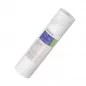 Cartouche Pentair Big Blue DGD 2501 Cartouche Pentair Big Blue DGD 2501