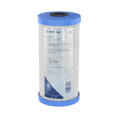 Filtre EPM BB Pentair