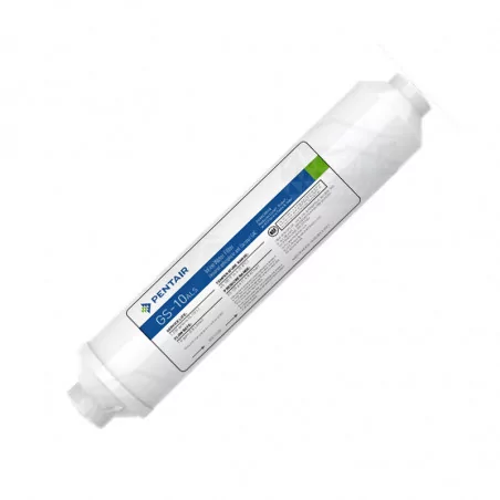 Cartouche Pentair GS-10ALS