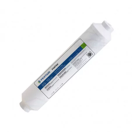 Filtre en Ligne Pentair GS-10CB5
