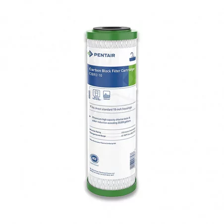 Filtre Eau Pentair CBR2-10 Charbon Actif et Plomb