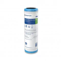 Filtre Pentair ChlorPlus 10