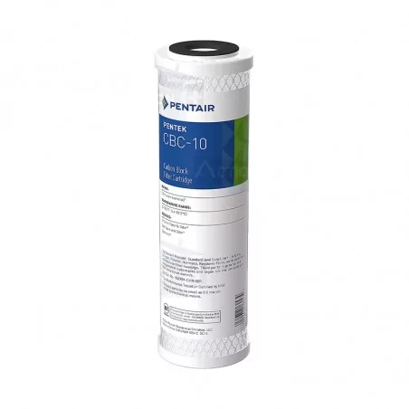 Cartouche Pentair CBC-10 Charbon Actif