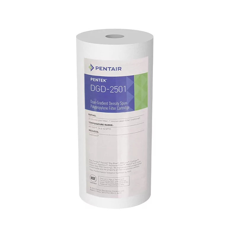Filtre à Eau Pentair DGD 2501 Big Blue Filtre à Eau Pentair DGD 2501 Big Blue
