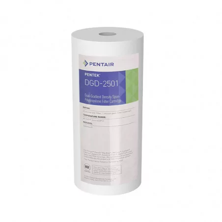 Filtre à Eau Pentair DGD 2501 Big Blue