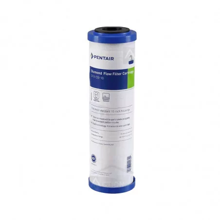 Cartouche DFX-CB-10 Pentair