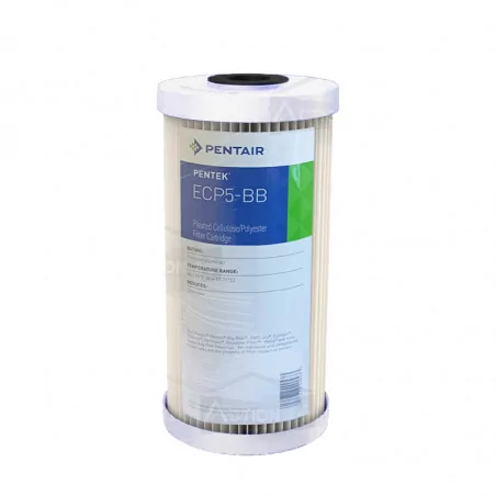 Cartouche Pentair ECP5-BB