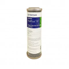 Filtre Pentair Floplus 10