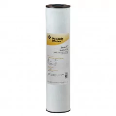 Filtre à Eau Pentair Deferrisant