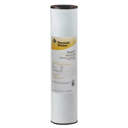 Filtre pour Eau Ferrugineuse Pentair RFFE20-BB