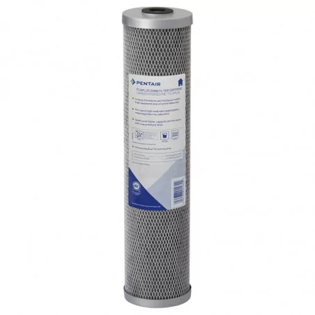 Cartouche Pentair FloPlus 20-BB