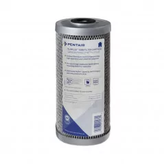 pentair floplus big blue 10 pouces
