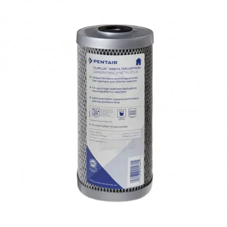 pentair floplus big blue 10 pouces