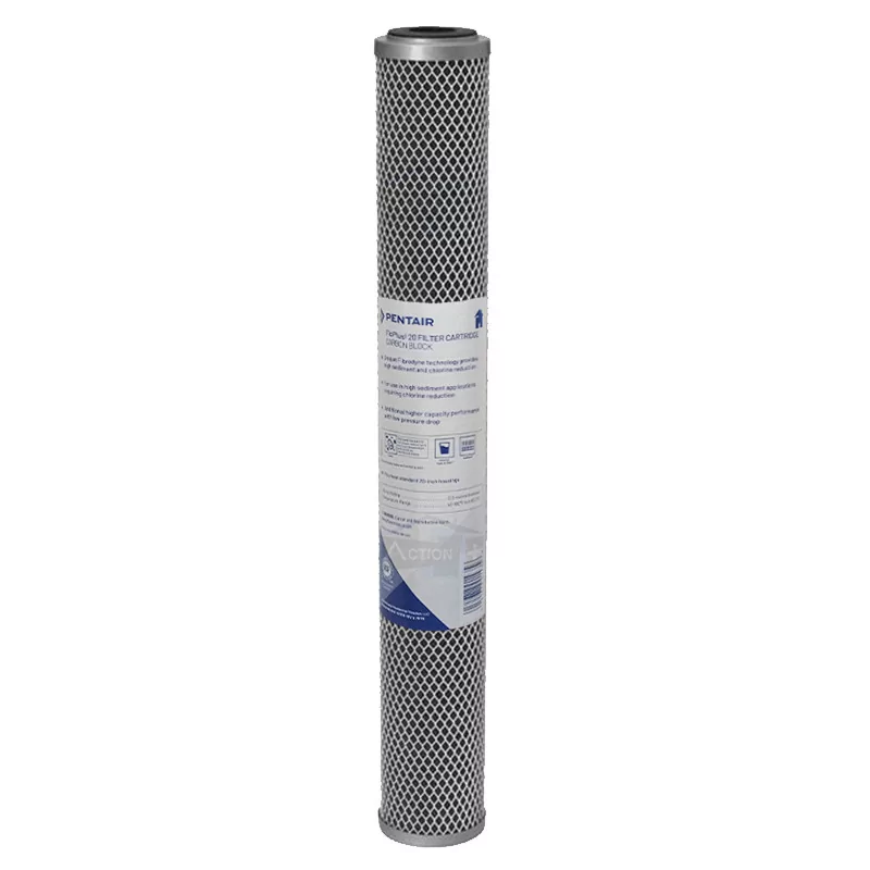 Filtre Pentair FloPlus 20 Pouces Filtre Pentair FloPlus 20 Pouces