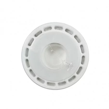 Filtre à Eau GAC 10 Pentair Haute Performance