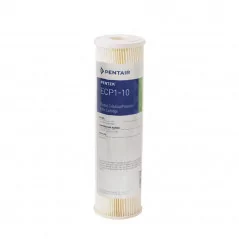 Filtre ECP1-10 Pentair