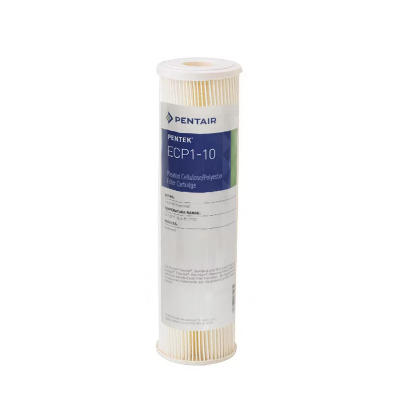 Filtre à Eau Plissée Pantair ECP1 10 Pouces
