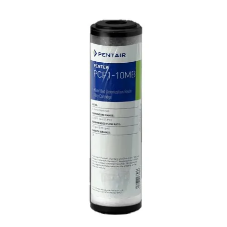 Pentair PCF 10 pouces