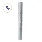 Filtre à Eau Impureté 5 Micron Aquapro 20 Pouces Filtre à Eau Impureté 5 Micron Aquapro 20 Pouces