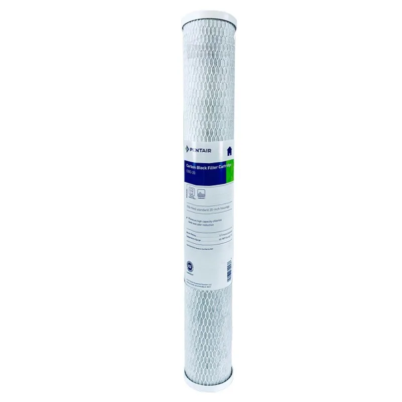 Cartouche CBC 20 Pentair en Bloc de Charbon Actif