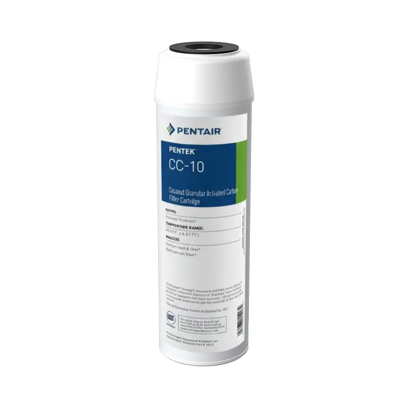 Filtre Charbon Actif Pentair CC-10