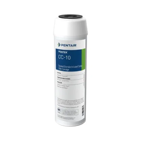 cartouche pentair charbon actif granuleux compacté