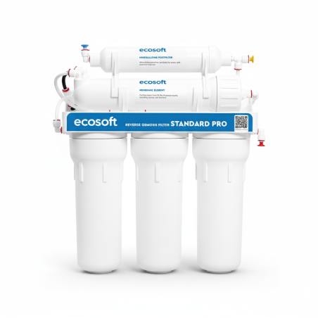 Osmoseur Ecosoft Standar minéralisant